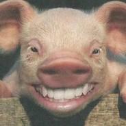El Cochinote's Stream profile image