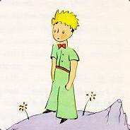 shameL's Stream profile image