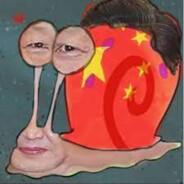 CZ11-16's Stream profile image
