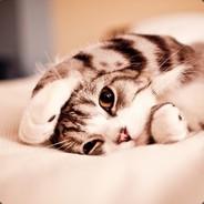 我是今夜最稀有的品種's Stream profile image