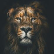 123's Stream profile image
