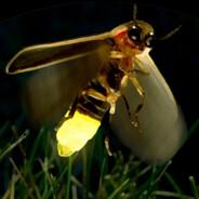 A Firefly's - Steam avatar