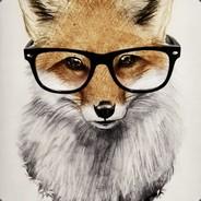 Knights-Foxs's Stream profile image