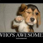 meleander's Stream profile image