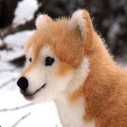 inc.'s Stream profile image