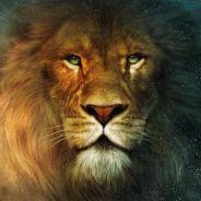 ЧИП's Stream profile image