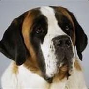 wade830911's Stream profile image