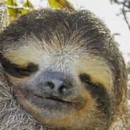 HABILITA MEDIO's Stream profile image