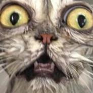 Merbel's Stream profile image