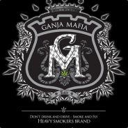 Galu's Stream profile image
