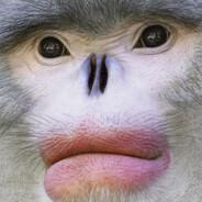 xXNoobSlayerXx's - Steam avatar