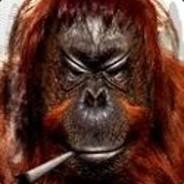 nihil's Stream profile image