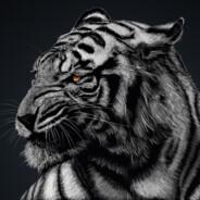 Wüstenfuchs's - Steam avatar