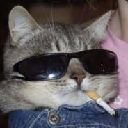 Wieder's Stream profile image