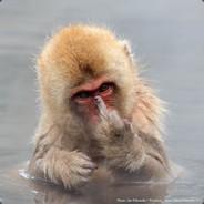 ultraanfibio's Stream profile image