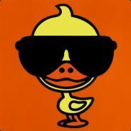 Duckmeister's Stream profile image