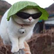 drbevans's Stream profile image