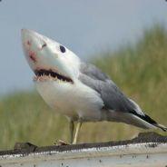 Ryoumad's Stream profile image