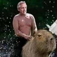 TonyTheDog's Stream profile image