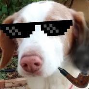 OlbapXIV's Stream profile image