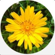 Wiesenbocksbart's - Steam avatar