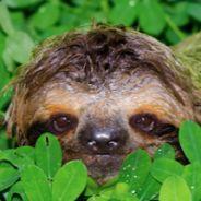 danj15's Stream profile image