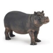 Wadero's Stream profile image
