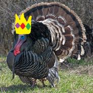 Turkey King's - Steam avatar