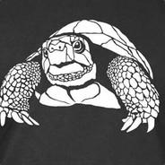 Turturibus's Stream profile image