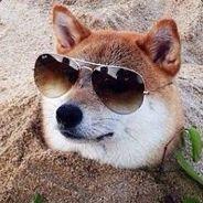 Silver Ghost's Stream profile image