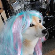 nicker.pm's Stream profile image