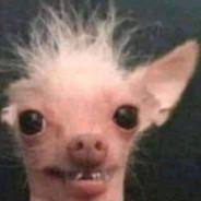 cracchead's Stream profile image