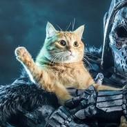 Solwic's Stream profile image