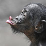 Kenjyyn's Stream profile image
