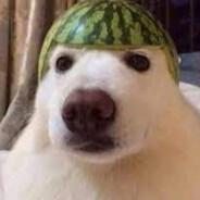 G4dwyN's Stream profile image