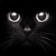 Schett's Stream profile image