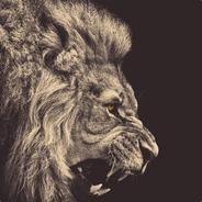 x's - Steam avatar