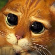 Vodkamastaa's Stream profile image