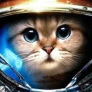 Hlopushka's Stream profile image
