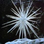 Snowthorn's Stream profile image