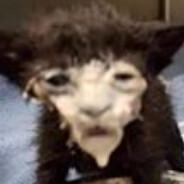 Eddie's Stream profile image