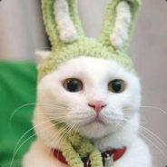 Cowabunga's Stream profile image