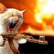 Bucky's Stream profile image