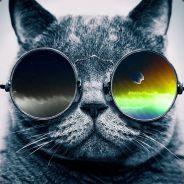 Noobschool99's Stream profile image