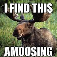 Mooseborn's - Steam avatar