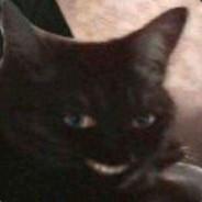 xDTK's Stream profile image