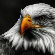 WANTIBOO's Stream profile image