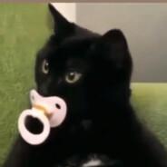 AshesDashes's Stream profile image