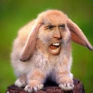 Noah's Stream profile image
