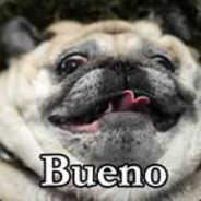 Sabot puncher's Stream profile image